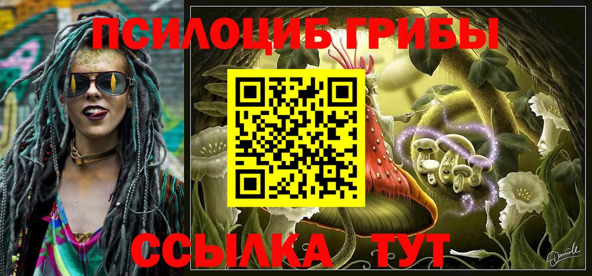 Свободный  Псилоцибиновые грибы мухоморы  Вход с VPN  Галлюциногенные грибы мицелий 
