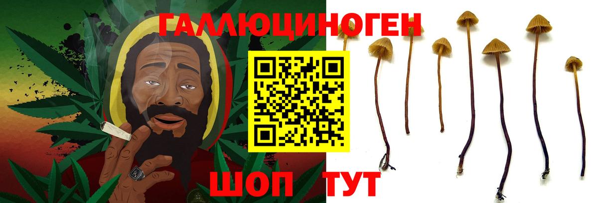 Псилоцибиновые грибы MAGIC MUSHROOMS Свободный